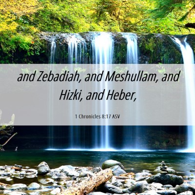 Picture 06 - 1 Chronicles 8:17 ASV - and Zebadiah, and Meshullam, and Hizki, and - Bible Verse Picture