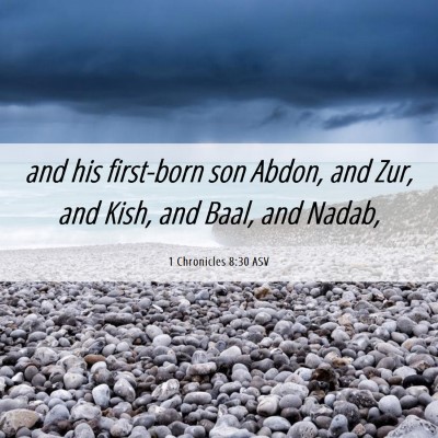Picture 06 - 1 Chronicles 8:30 ASV - and his first-born son Abdon, and Zur, and Kish, - Bible Verse Picture