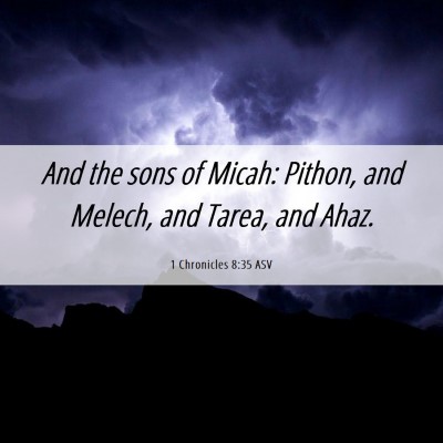 Picture 06 - 1 Chronicles 8:35 ASV - And the sons of Micah: Pithon, and Melech, and - Bible Verse Picture