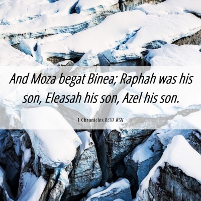 Picture 06 - 1 Chronicles 8:37 ASV - And Moza begat Binea; Raphah was his son, Eleasah - Bible Verse Picture