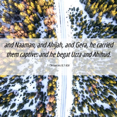Picture 06 - 1 Chronicles 8:7 ASV - and Naaman, and Ahijah, and Gera, he carried them - Bible Verse Picture