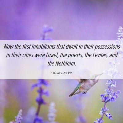 Picture 06 - 1 Chronicles 9:2 ASV - Now the first inhabitants that dwelt in their - Bible Verse Picture
