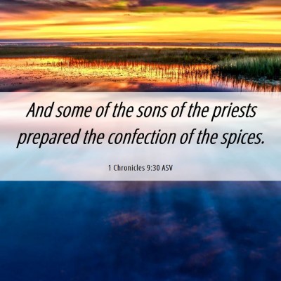 Picture 06 - 1 Chronicles 9:30 ASV - And some of the sons of the priests prepared the - Bible Verse Picture