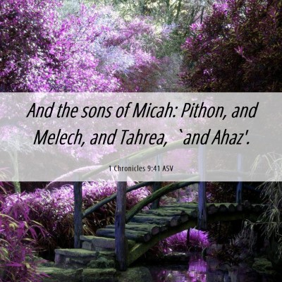 Picture 06 - 1 Chronicles 9:41 ASV - And the sons of Micah: Pithon, and Melech, and - Bible Verse Picture