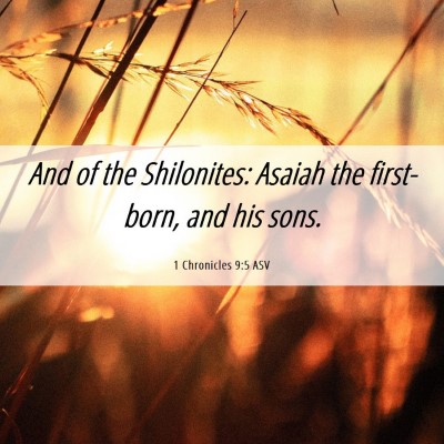 Picture 06 - 1 Chronicles 9:5 ASV - And of the Shilonites: Asaiah the first-born, and - Bible Verse Picture