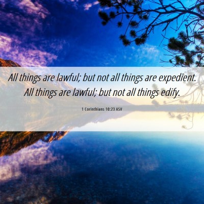Picture 06 - 1 Corinthians 10:23 ASV - All things are lawful; but not all things are - Bible Verse Picture