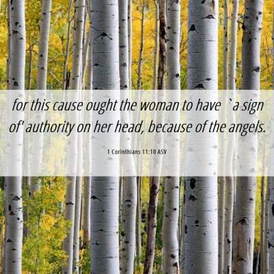 Picture 06 - 1 Corinthians 11:10 ASV - for this cause ought the woman to have `a sign - Bible Verse Picture