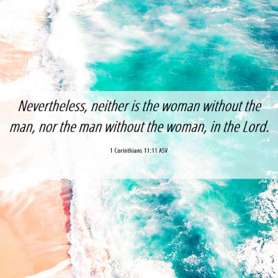 Picture 06 - 1 Corinthians 11:11 ASV - Nevertheless, neither is the woman without the - Bible Verse Picture