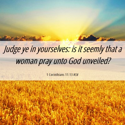 Picture 06 - 1 Corinthians 11:13 ASV - Judge ye in yourselves: is it seemly that a woman - Bible Verse Picture