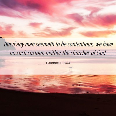 Picture 06 - 1 Corinthians 11:16 ASV - But if any man seemeth to be contentious, we have - Bible Verse Picture