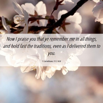 Picture 06 - 1 Corinthians 11:2 ASV - Now I praise you that ye remember me in all - Bible Verse Picture
