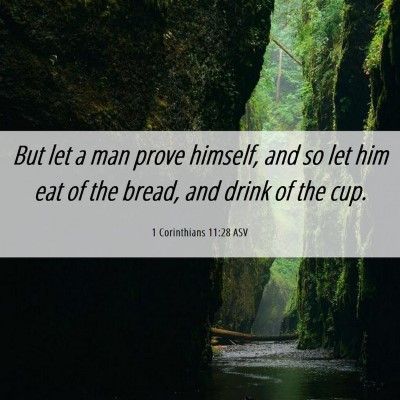 Picture 06 - 1 Corinthians 11:28 ASV - But let a man prove himself, and so let him eat - Bible Verse Picture