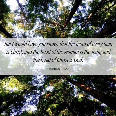 Picture 06 - 1 Corinthians 11:3 ASV - But I would have you know, that the head of every - Bible Verse Picture