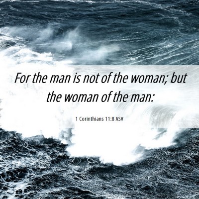 Picture 06 - 1 Corinthians 11:8 ASV - For the man is not of the woman; but the woman of - Bible Verse Picture