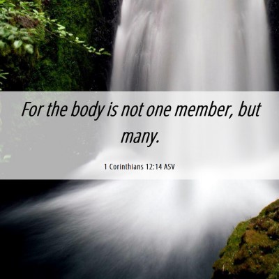 Picture 06 - 1 Corinthians 12:14 ASV - For the body is not one member, but - Bible Verse Picture