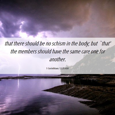 Picture 06 - 1 Corinthians 12:25 ASV - that there should be no schism in the body; but - Bible Verse Picture