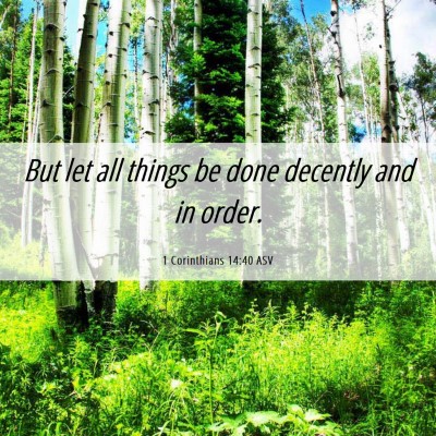 Picture 06 - 1 Corinthians 14:40 ASV - But let all things be done decently and in - Bible Verse Picture