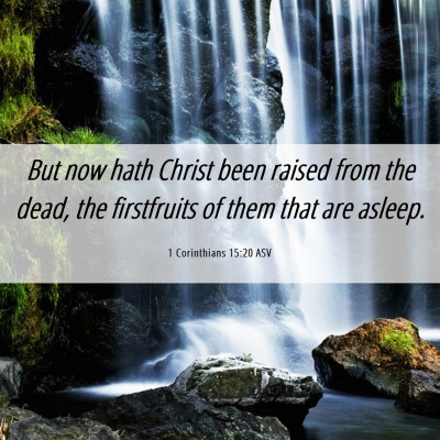 Picture 06 - 1 Corinthians 15:20 ASV - But now hath Christ been raised from the dead, - Bible Verse Picture