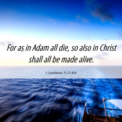 Picture 06 - 1 Corinthians 15:22 ASV - For as in Adam all die, so also in Christ shall - Bible Verse Picture