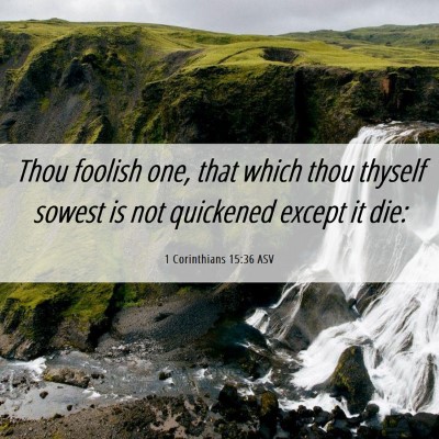 Picture 06 - 1 Corinthians 15:36 ASV - Thou foolish one, that which thou thyself sowest - Bible Verse Picture