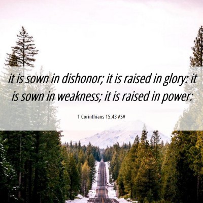 Picture 06 - 1 Corinthians 15:43 ASV - it is sown in dishonor; it is raised in glory: it - Bible Verse Picture