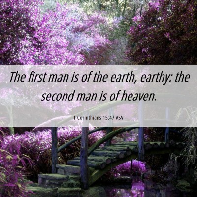 Picture 06 - 1 Corinthians 15:47 ASV - The first man is of the earth, earthy: the second - Bible Verse Picture