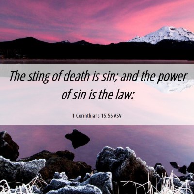 Picture 06 - 1 Corinthians 15:56 ASV - The sting of death is sin; and the power of sin - Bible Verse Picture