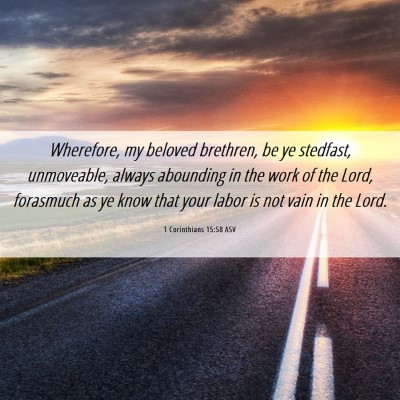 Picture 06 - 1 Corinthians 15:58 ASV - Wherefore, my beloved brethren, be ye stedfast, - Bible Verse Picture