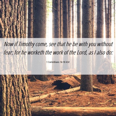 Picture 06 - 1 Corinthians 16:10 ASV - Now if Timothy come, see that he be with you - Bible Verse Picture