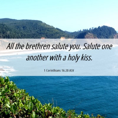 Picture 06 - 1 Corinthians 16:20 ASV - All the brethren salute you. Salute one another - Bible Verse Picture