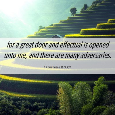 Picture 06 - 1 Corinthians 16:9 ASV - for a great door and effectual is opened unto me, - Bible Verse Picture