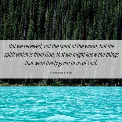 Picture 06 - 1 Corinthians 2:12 ASV - But we received, not the spirit of the world, but - Bible Verse Picture