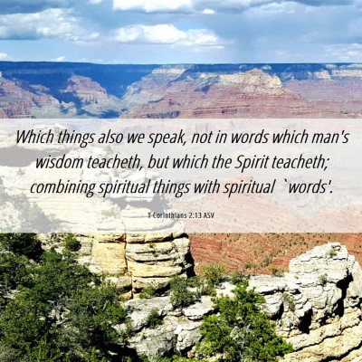 Picture 06 - 1 Corinthians 2:13 ASV - Which things also we speak, not in words which - Bible Verse Picture