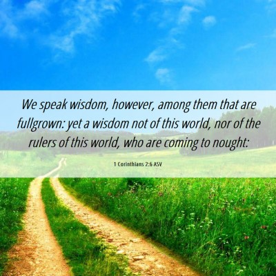 Picture 06 - 1 Corinthians 2:6 ASV - We speak wisdom, however, among them that are - Bible Verse Picture