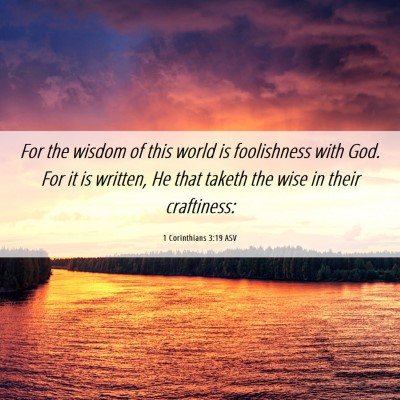 Picture 06 - 1 Corinthians 3:19 ASV - For the wisdom of this world is foolishness with - Bible Verse Picture