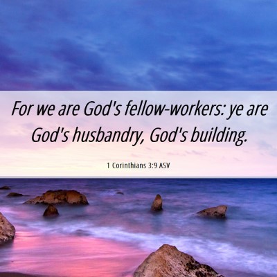 Picture 06 - 1 Corinthians 3:9 ASV - For we are God's fellow-workers: ye are God's - Bible Verse Picture