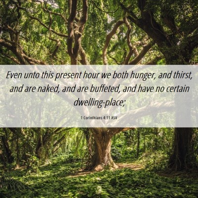 Picture 06 - 1 Corinthians 4:11 ASV - Even unto this present hour we both hunger, and - Bible Verse Picture