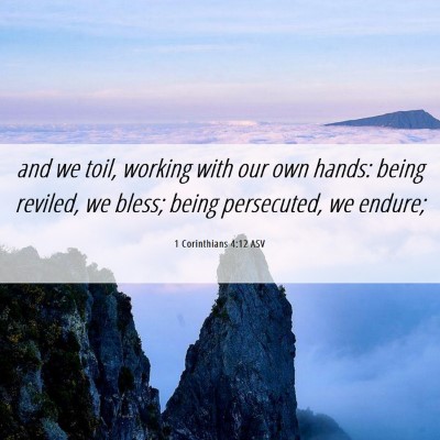 Picture 06 - 1 Corinthians 4:12 ASV - and we toil, working with our own hands: being - Bible Verse Picture