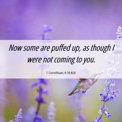 Picture 06 - 1 Corinthians 4:18 ASV - Now some are puffed up, as though I were not - Bible Verse Picture