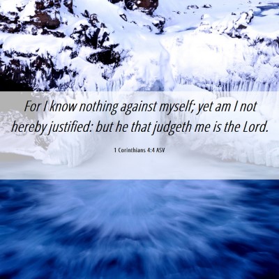 Picture 06 - 1 Corinthians 4:4 ASV - For I know nothing against myself; yet am I not - Bible Verse Picture