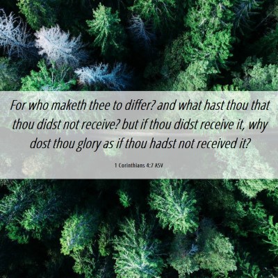 Picture 06 - 1 Corinthians 4:7 ASV - For who maketh thee to differ? and what hast thou - Bible Verse Picture