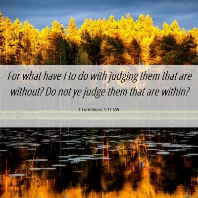 Picture 06 - 1 Corinthians 5:12 ASV - For what have I to do with judging them that are - Bible Verse Picture