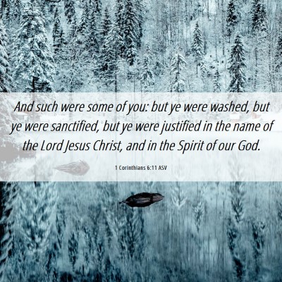 Picture 06 - 1 Corinthians 6:11 ASV - And such were some of you: but ye were washed, - Bible Verse Picture