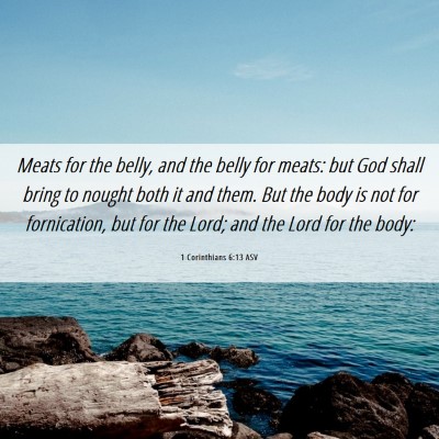Picture 06 - 1 Corinthians 6:13 ASV - Meats for the belly, and the belly for meats: but - Bible Verse Picture