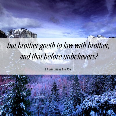 Picture 06 - 1 Corinthians 6:6 ASV - but brother goeth to law with brother, and that - Bible Verse Picture