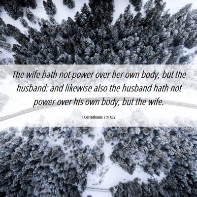 Picture 06 - 1 Corinthians 7:4 ASV - The wife hath not power over her own body, but - Bible Verse Picture