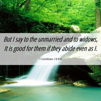 Picture 06 - 1 Corinthians 7:8 ASV - But I say to the unmarried and to widows, It is - Bible Verse Picture