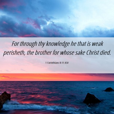 Picture 06 - 1 Corinthians 8:11 ASV - For through thy knowledge he that is weak - Bible Verse Picture