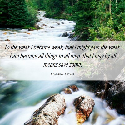 Picture 06 - 1 Corinthians 9:22 ASV - To the weak I became weak, that I might gain the - Bible Verse Picture