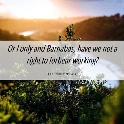 Picture 06 - 1 Corinthians 9:6 ASV - Or I only and Barnabas, have we not a right to - Bible Verse Picture
